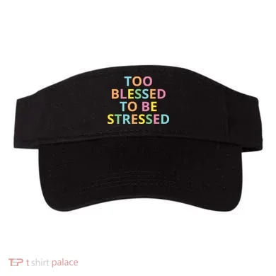 Visor