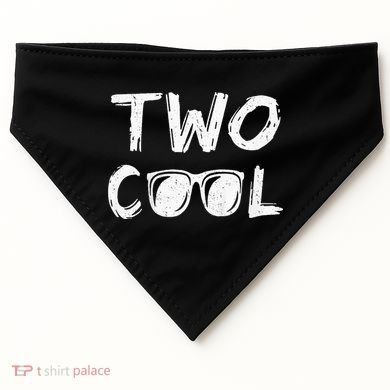 Two Cool 2nd Birthday Gift 2 Year Old USA-Made Doggie Bandana