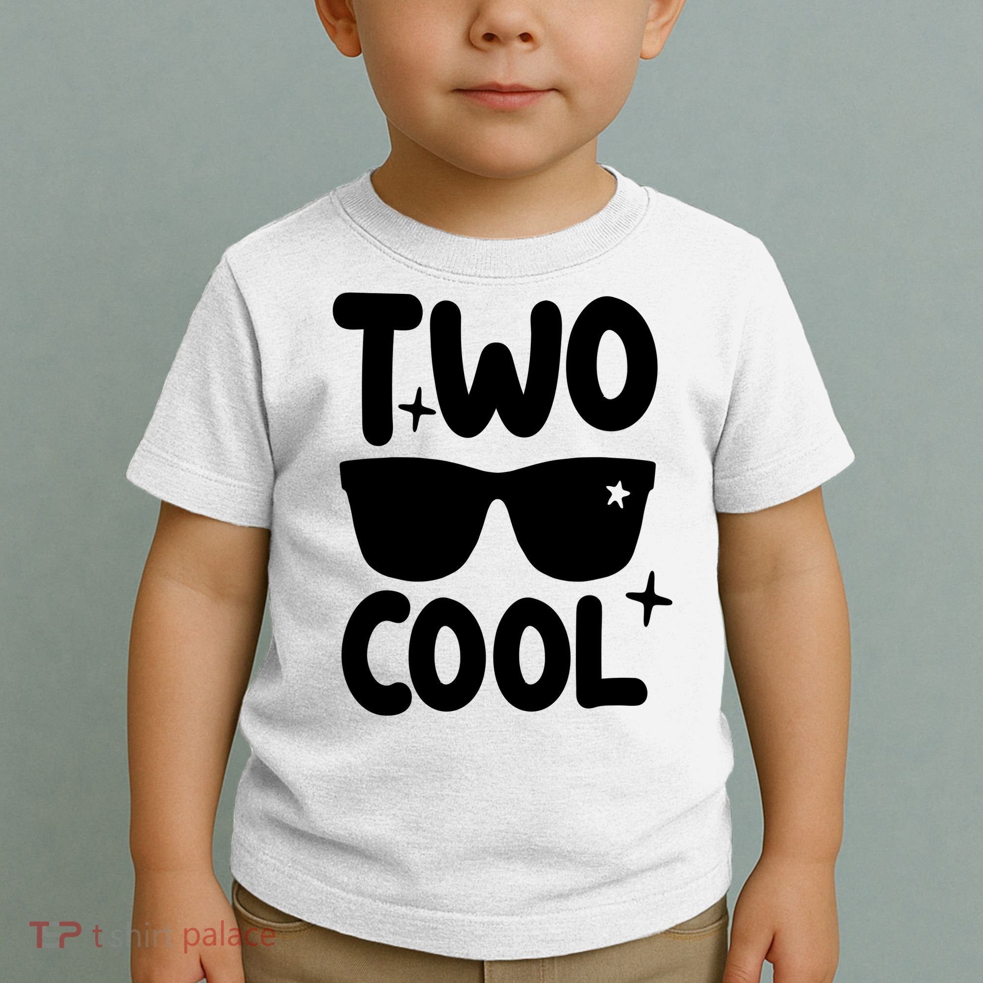 Two Cool 2nd Birthday Gift 2 Year Old Boy Second Bday Toddler T-Shirt