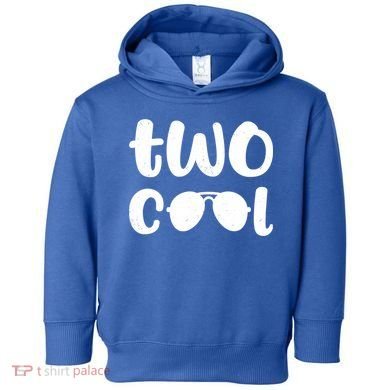 Two Cool 2nd Birthday Gift 2 Year Old Boy Second Bday Toddler Hoodie