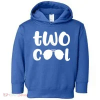 Two Cool 2nd Birthday Gift 2 Year Old Boy Second Bday Toddler Hoodie thumb 0