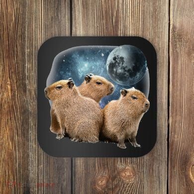 Three Capybaras And Moon Funny Capybara Humor Parody Coaster