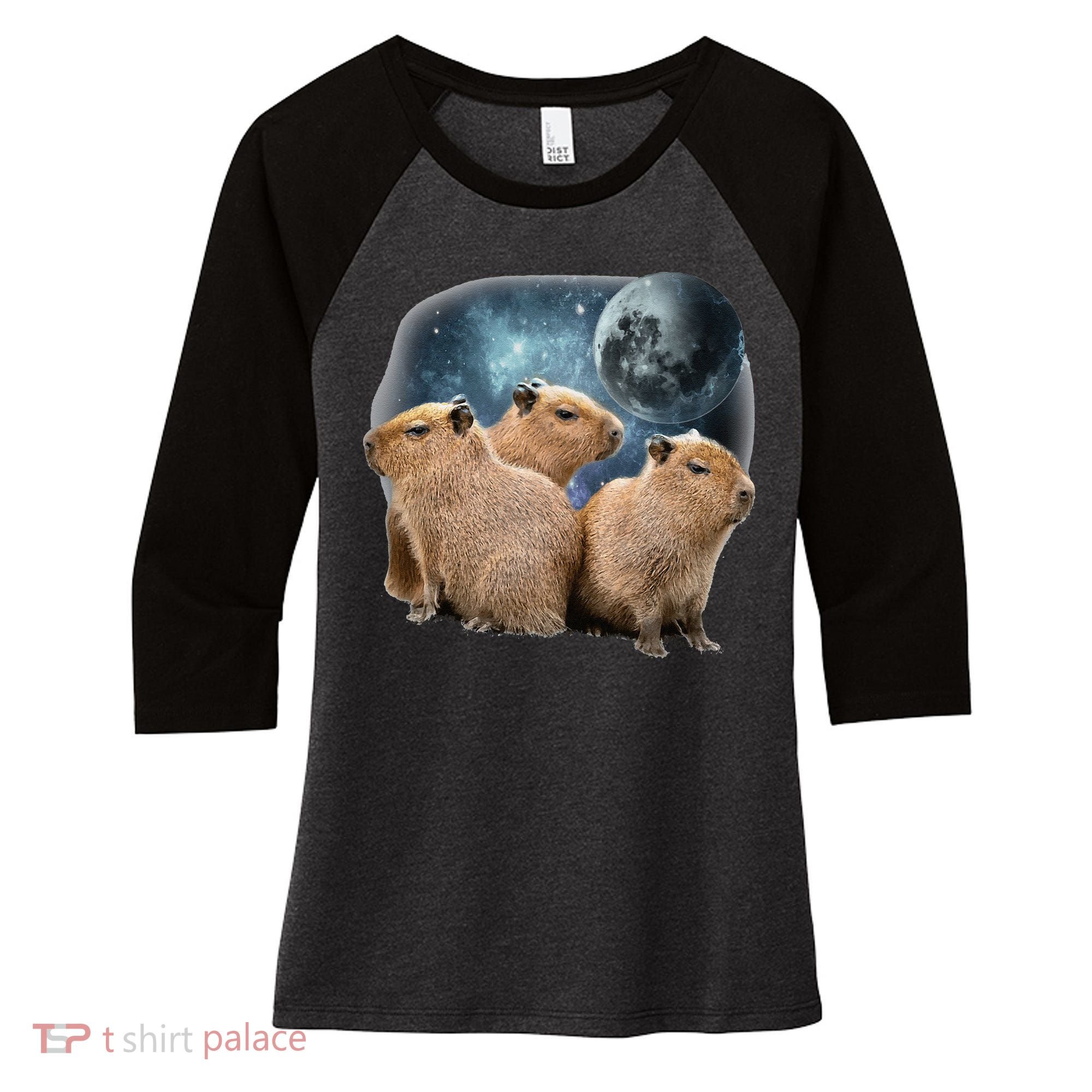 Three Capybaras And Moon Funny Capybara Humor Parody Women's Tri-Blend 3/4-Sleeve Raglan Shirt