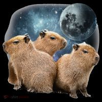 Three Capybaras And Moon Funny Capybara Humor Parody Kids Hoodie thumb 5