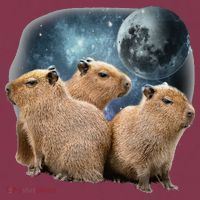 Three Capybaras And Moon Funny Capybara Humor Parody 16oz Travel Tumbler thumb 2