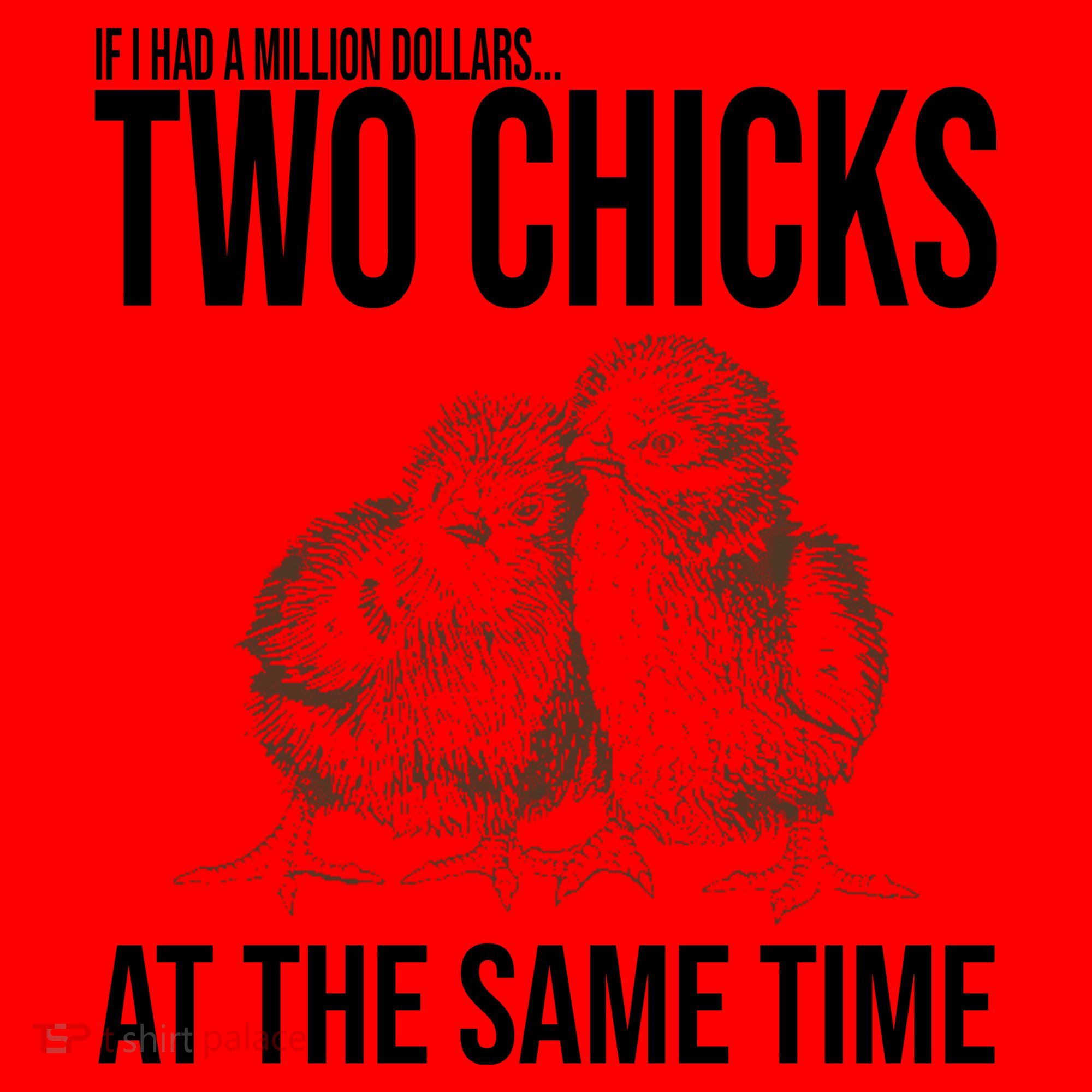 Two Chicks At The Same Time Funny Santa Hat