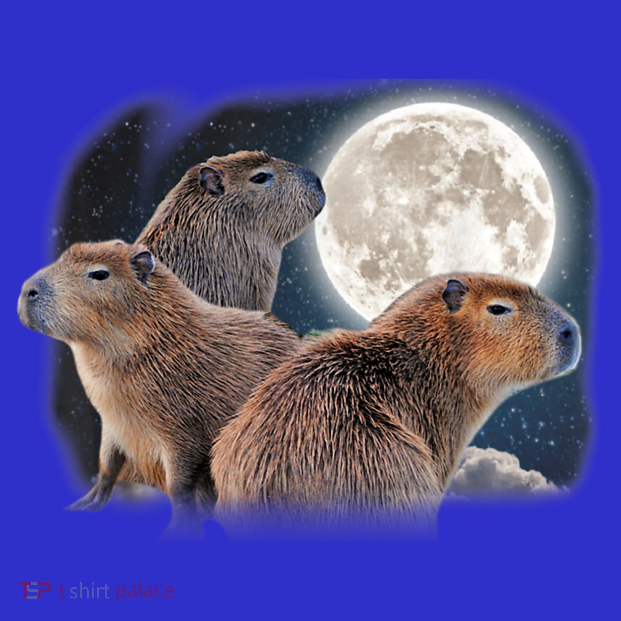 Three Capybaras And Moon Funny Capybara Humor Parody Coaster
