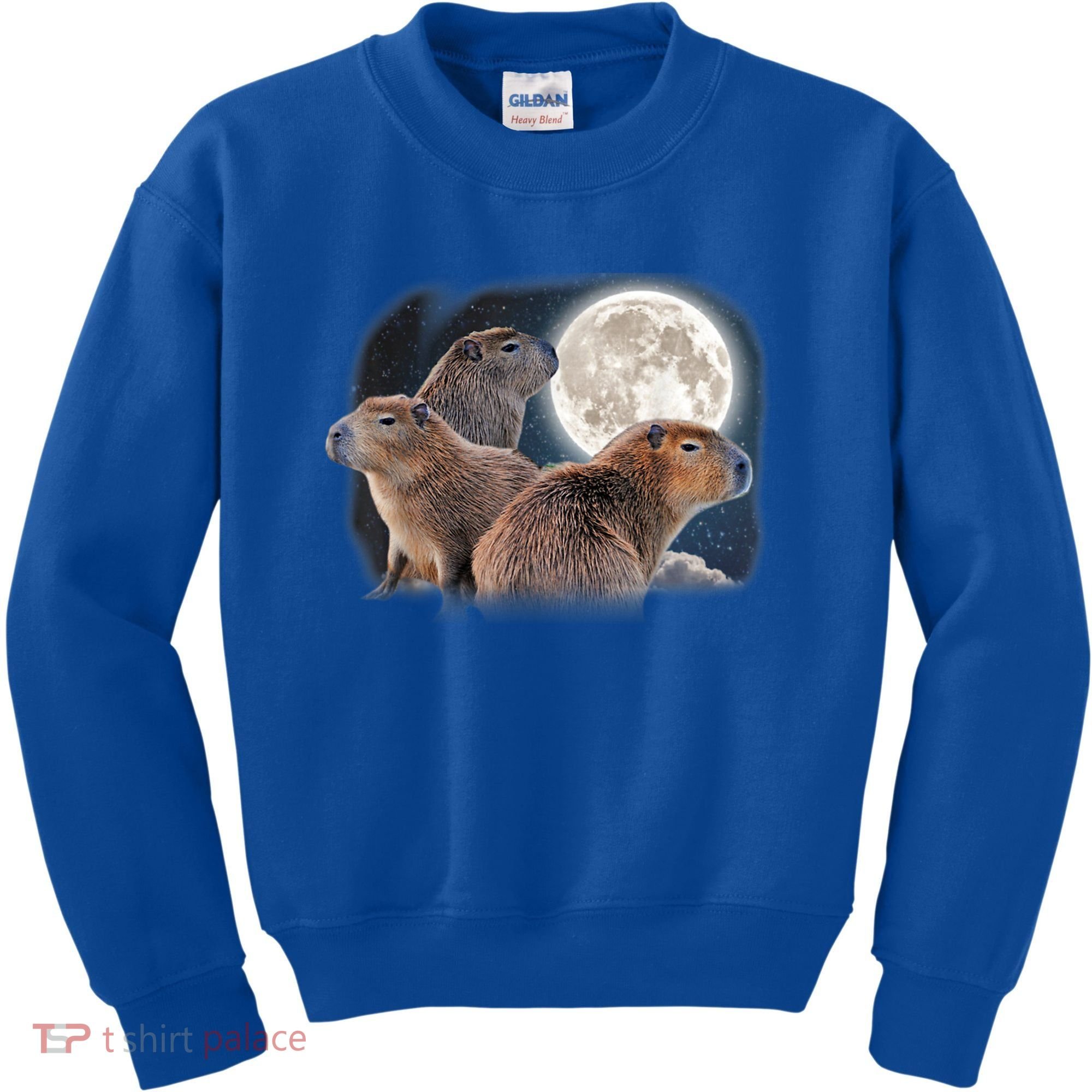 Three Capybaras And Moon Funny Capybara Humor Parody Kids Sweatshirt