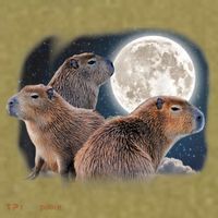 Three Capybaras And Moon Funny Capybara Humor Parody Garment-Dyed Women's Muscle Tee thumb 6