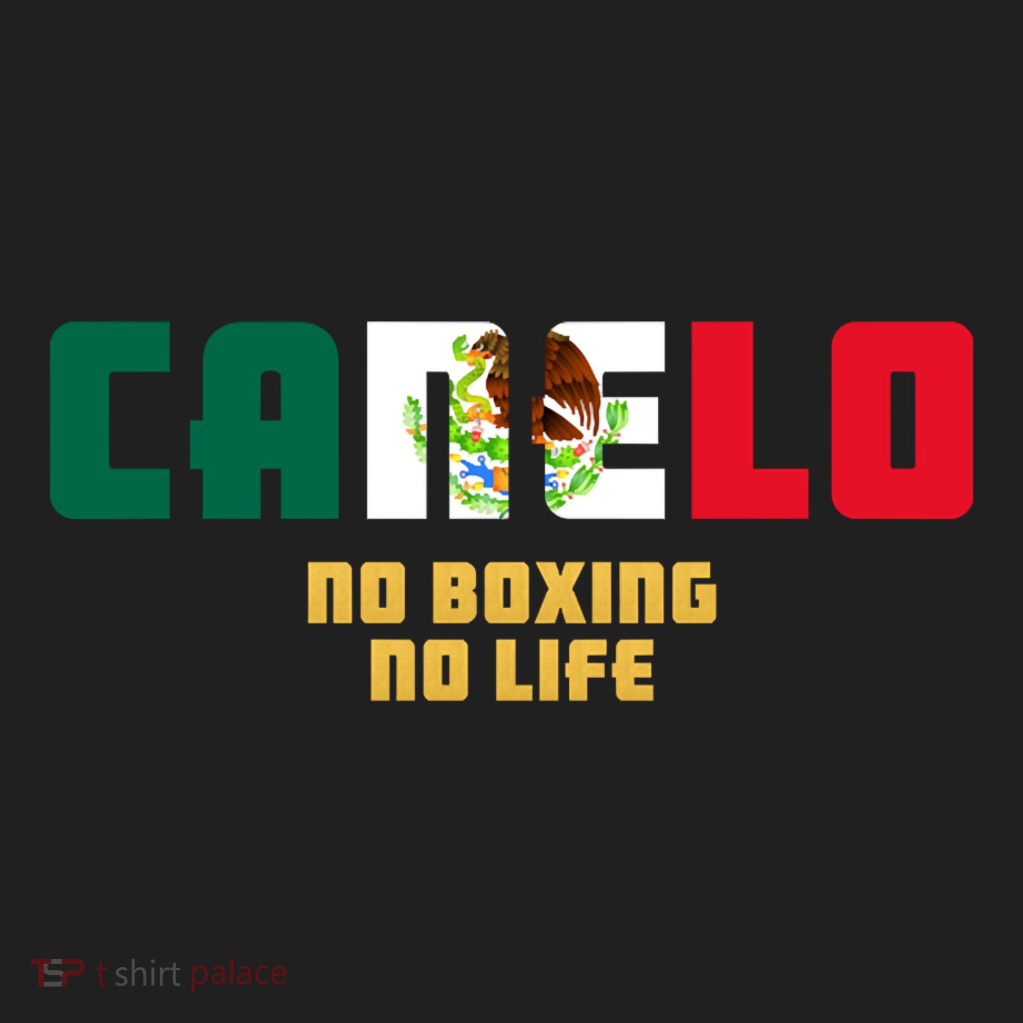 Team Canelo Boxing Alvarez Mexico Fight Women's Sweatshirt