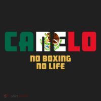 Team Canelo Boxing Alvarez Mexico Fight Beanie thumb 2