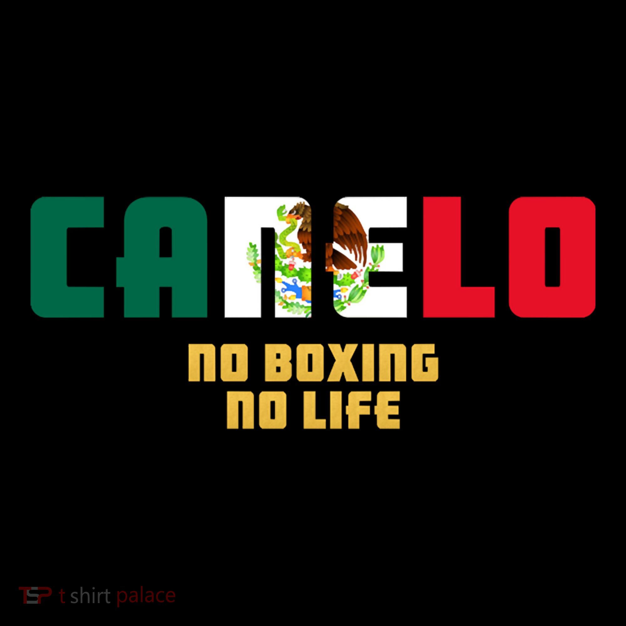 Team Canelo Boxing Alvarez Mexico Fight Women's T-Shirt