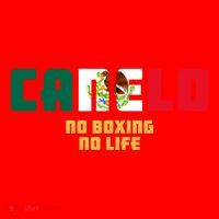 Team Canelo Boxing Alvarez Mexico Fight Santa Hat thumb 1
