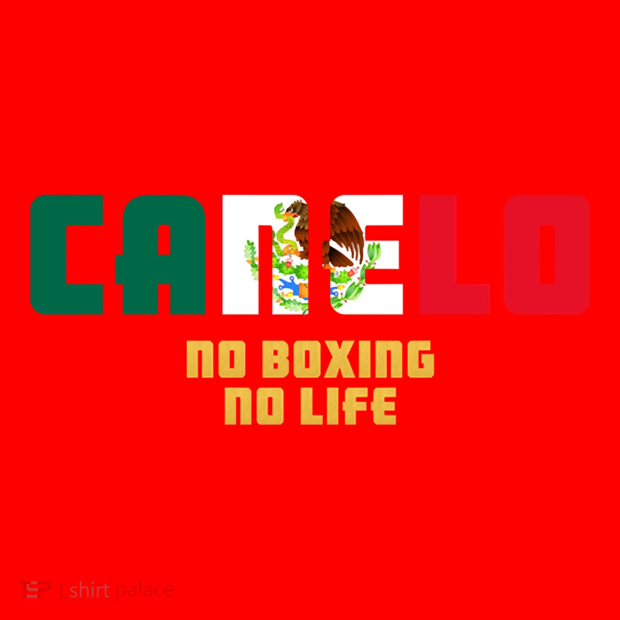 Team Canelo Boxing Alvarez Mexico Fight Santa Hat