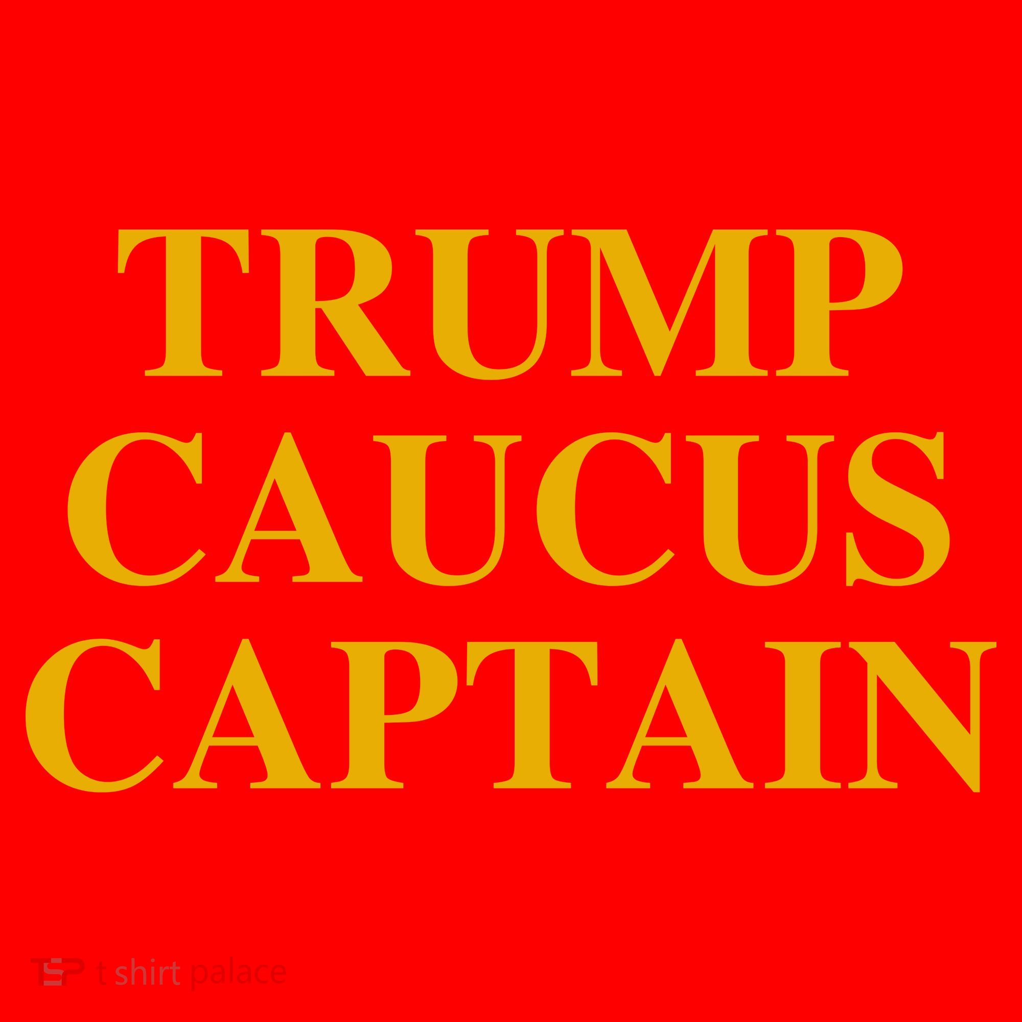 Trump Caucus Captain Santa Hat