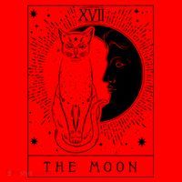 Tarot Card Crescent Moon And Cat Graphic Santa Hat thumb 1