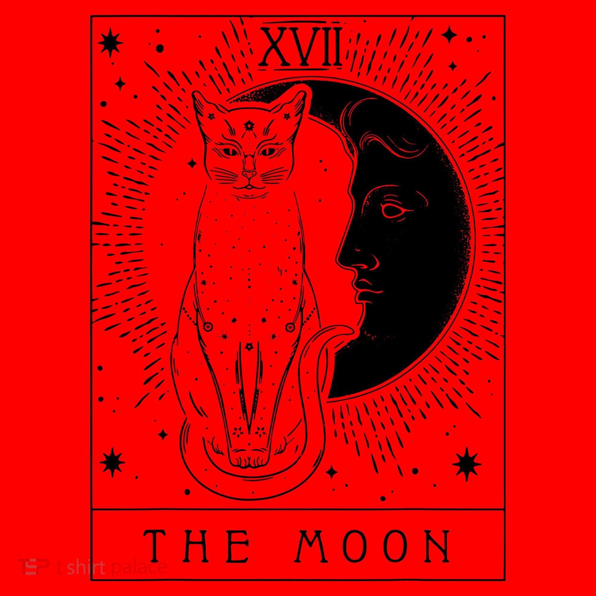 Tarot Card Crescent Moon And Cat Graphic Santa Hat