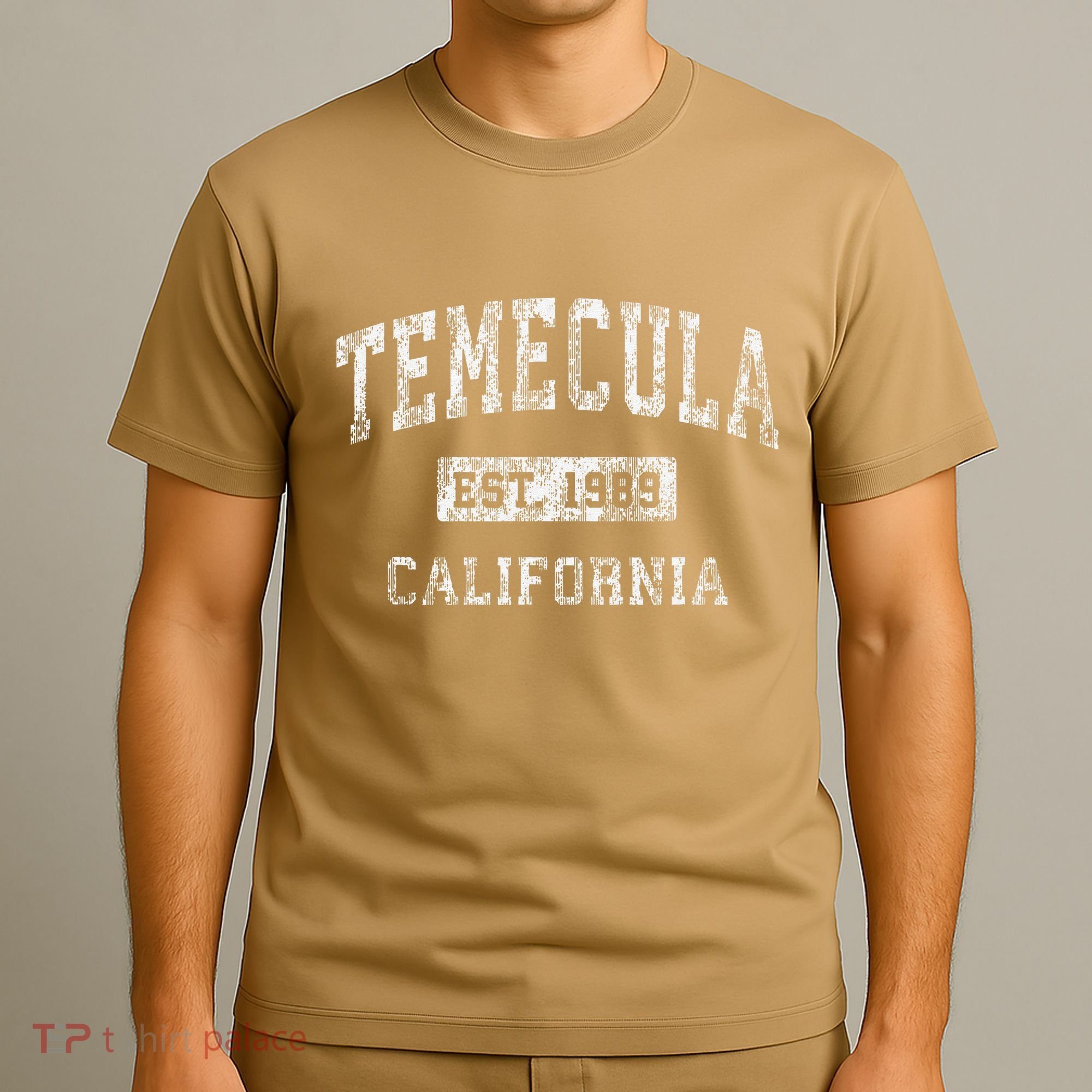 Temecula California Ca Vintage Established T-Shirt
