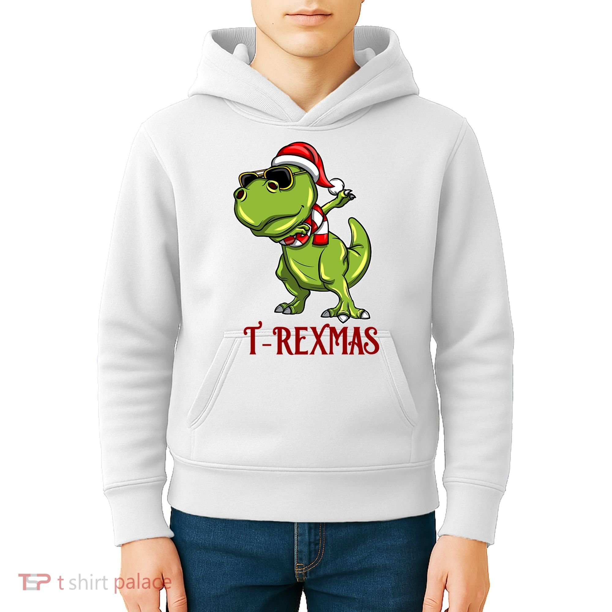 Trex Christmas Dino Kids Hoodie