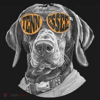 Tennessee Coonhound Dog Sport Lovers Tennessee Tri Stars Women's Hoodie thumb 2