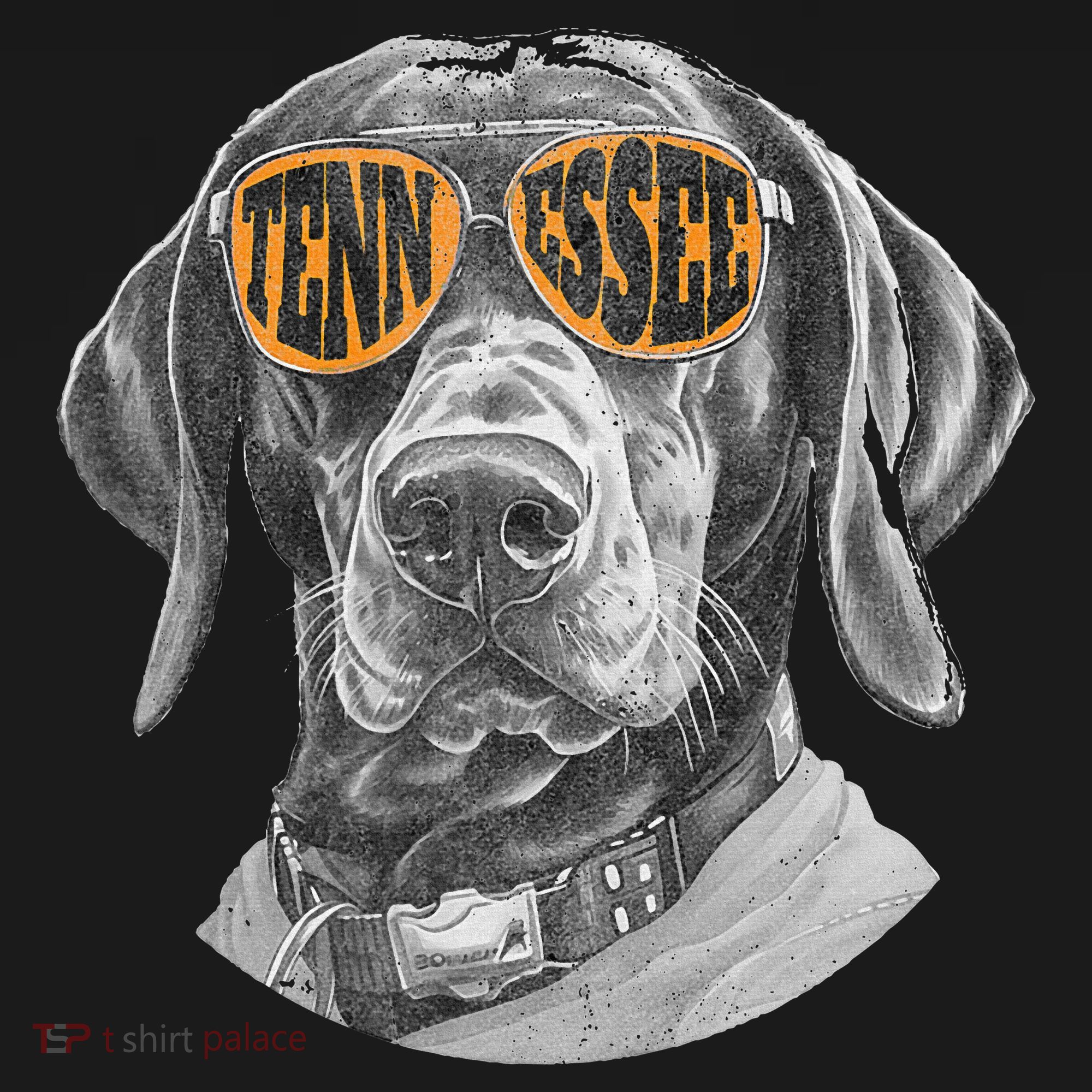 Tennessee Coonhound Dog Sport Lovers Tennessee Tri Stars Women's Tank Top