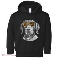 Tennessee Coonhound Dog Sport Lovers Tennessee Tri Stars Toddler Hoodie thumb 0