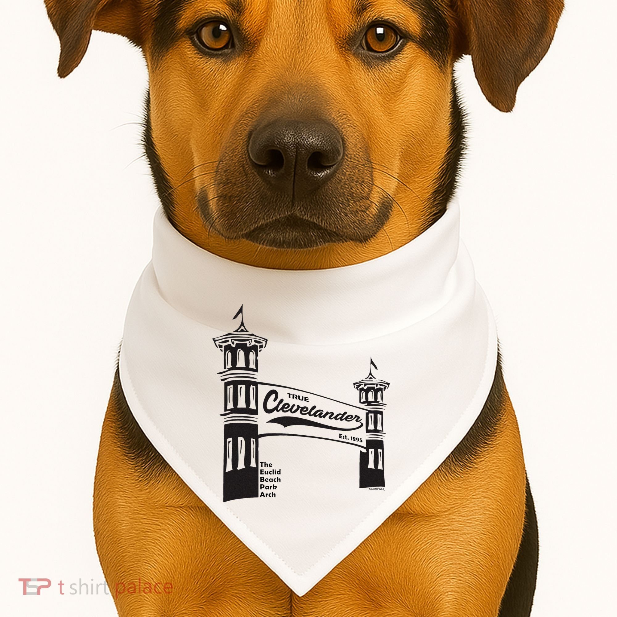 True Clevelander! Euclid Beach Park Arch in Cleveland Ohio USA-Made Doggie Bandana