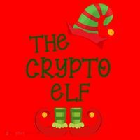 The Crypto Elf Funny Family Matching Christmas Santa Hat thumb 1