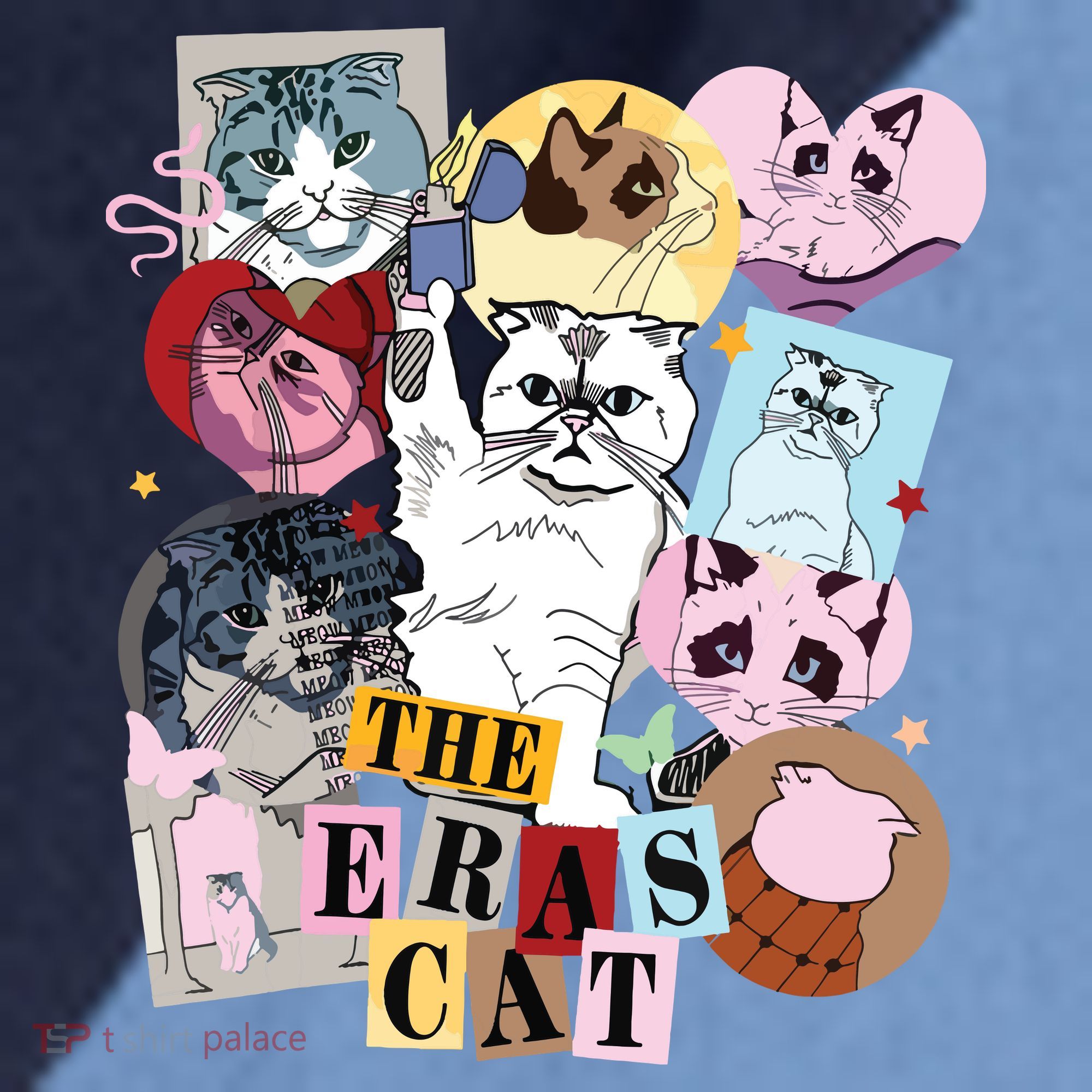 The Cat Eras In My Cat Mom Era Cat Lover Raglan Baseball Sleeve Shirt