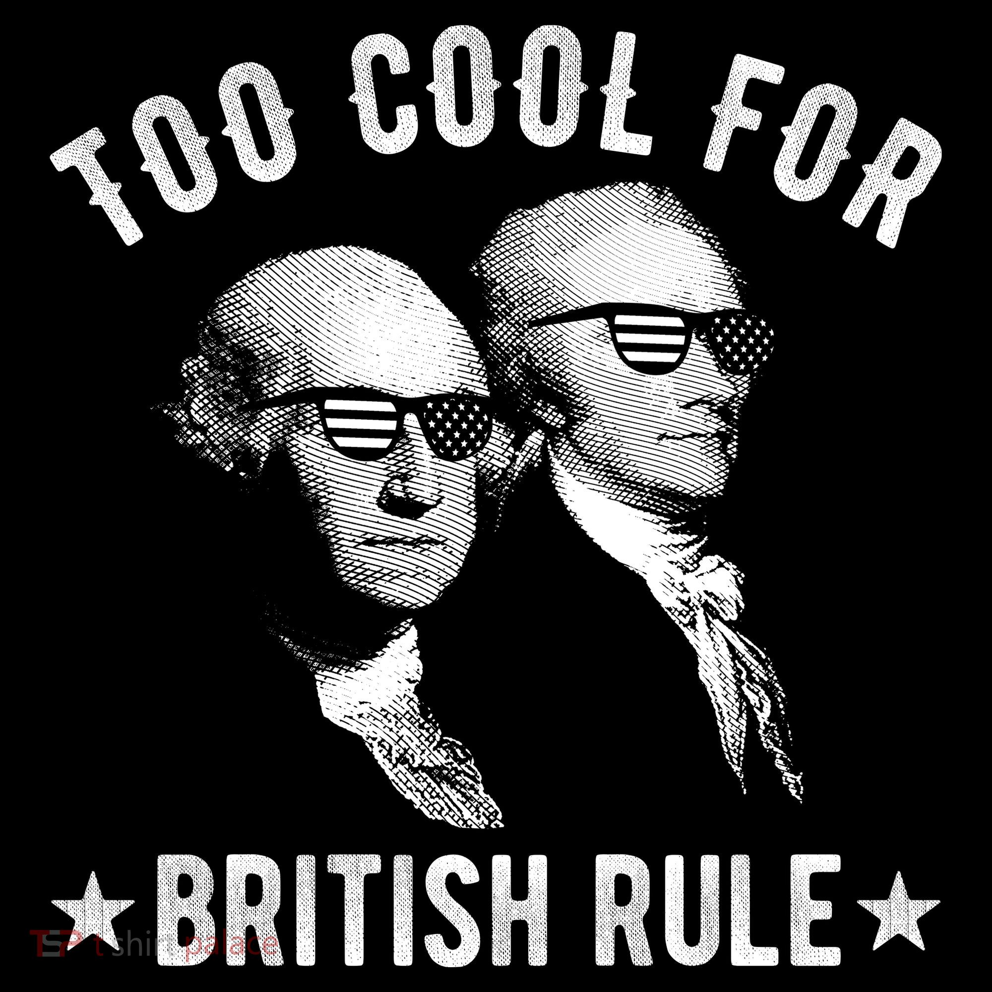 Too Cool For British Rule Funny George Washington Alexander Hamilton 4th Of July Coffee Mug