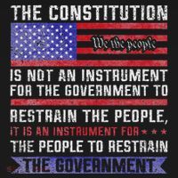 The Constitution Is An Instrument Us Patriotic Ornament thumb 1