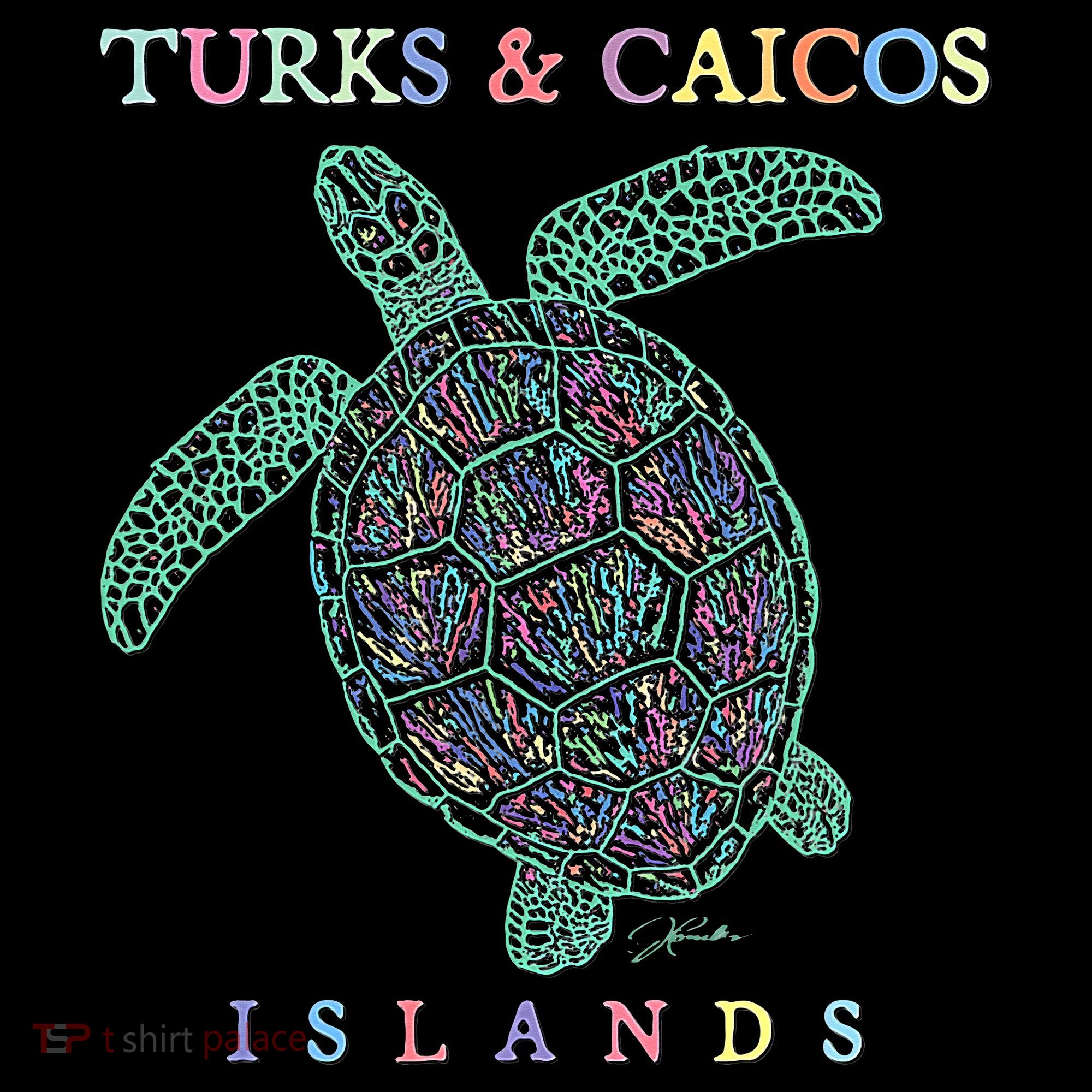 Turks & Caicos Islands Sea Turtle Sweatshirt