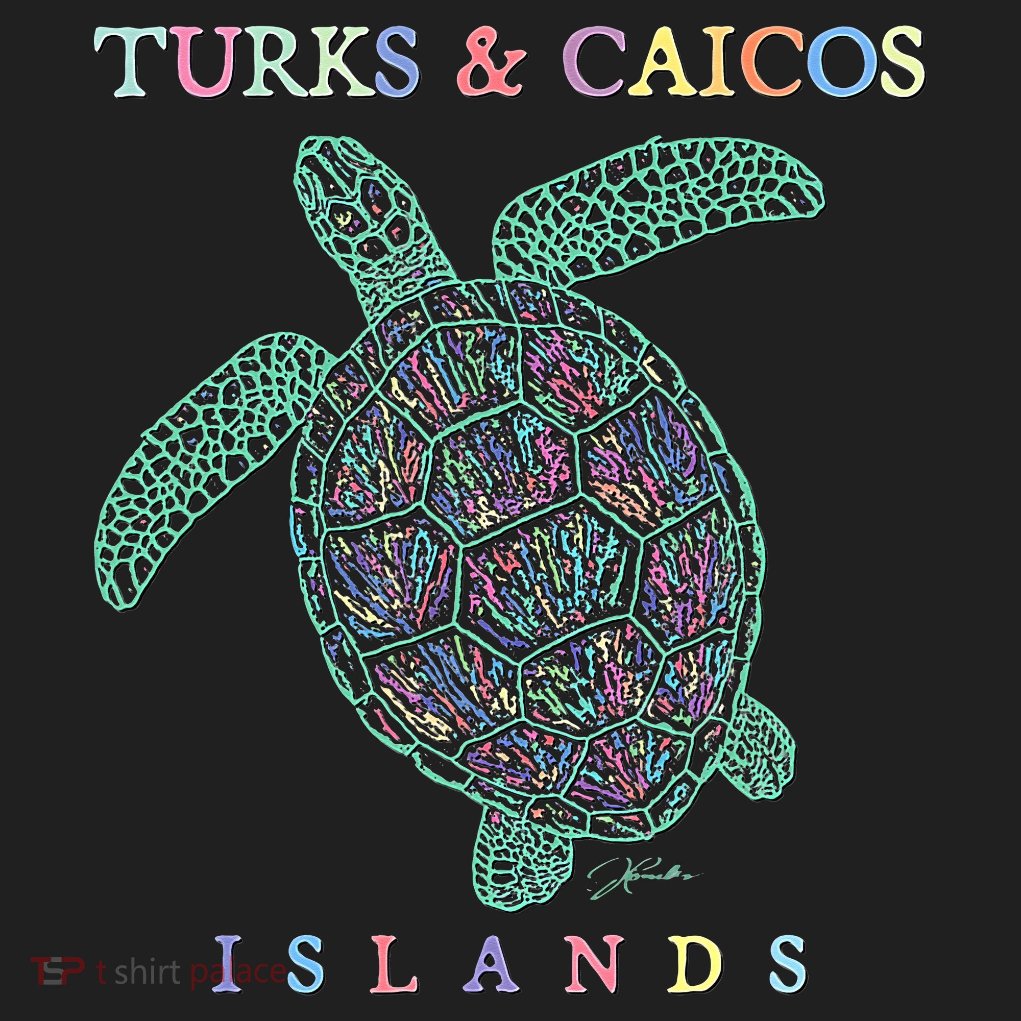 Turks & Caicos Islands Sea Turtle Beanie