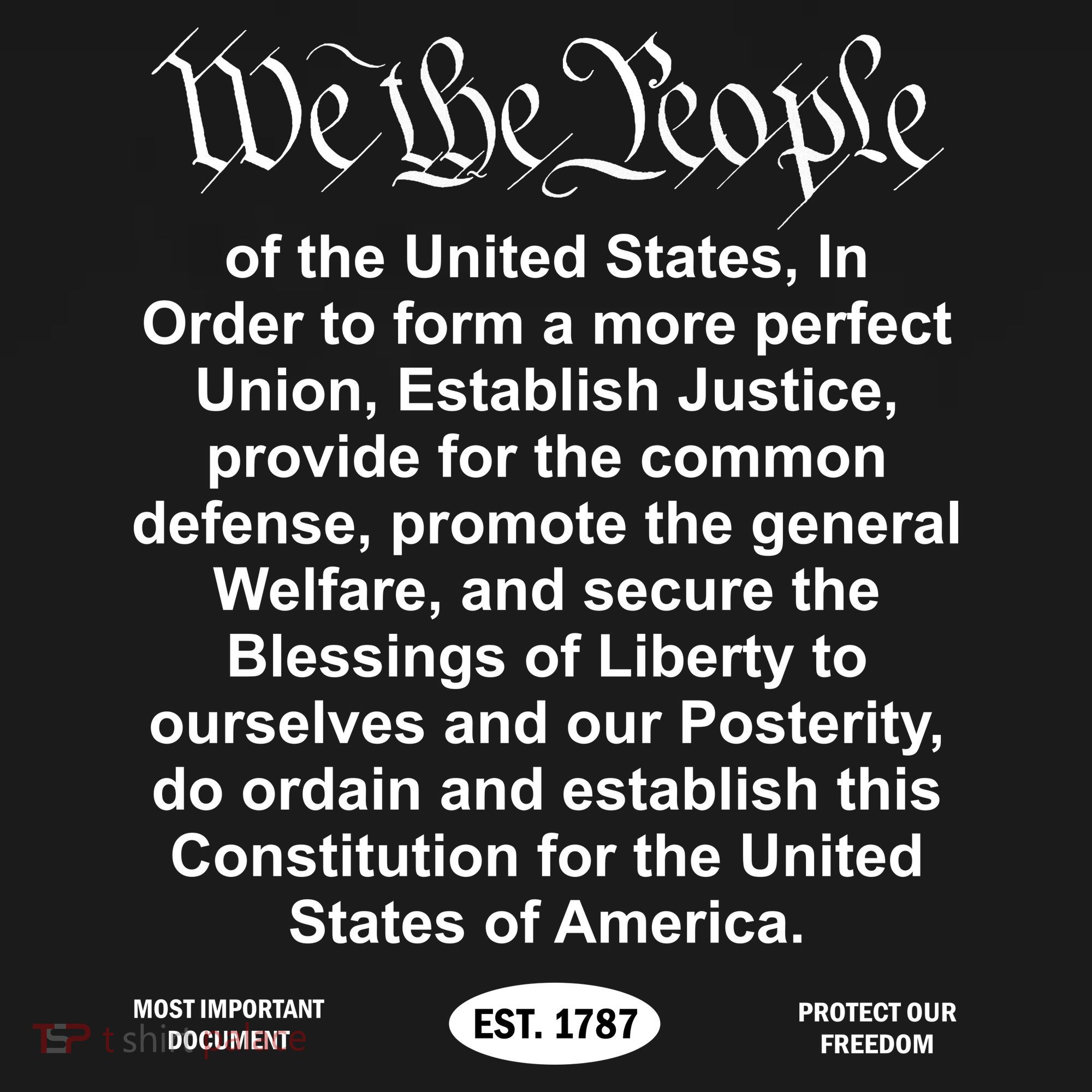 The Charlie Kirk We The People Tribute Constitution Freedom Long Sleeve Shirt