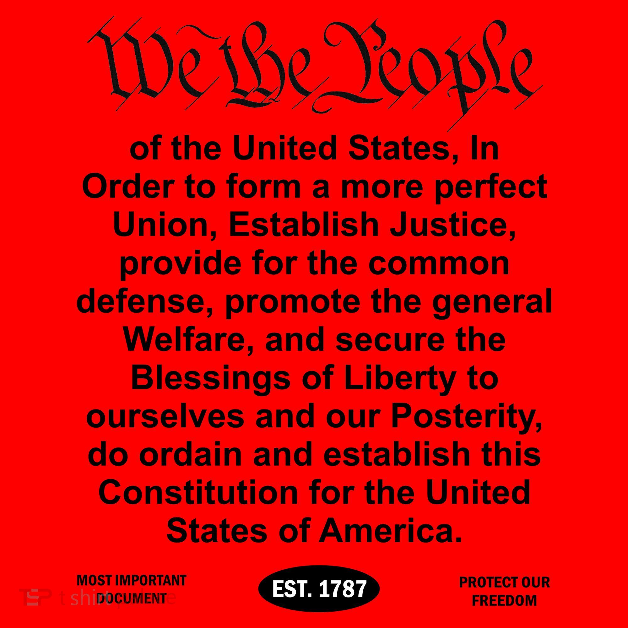 The Charlie Kirk We The People Tribute Constitution Freedom Santa Hat