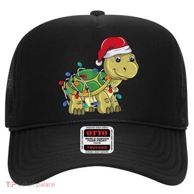 Turtle Christmas Lights Christmas Turtle Santa Turtle Hat
