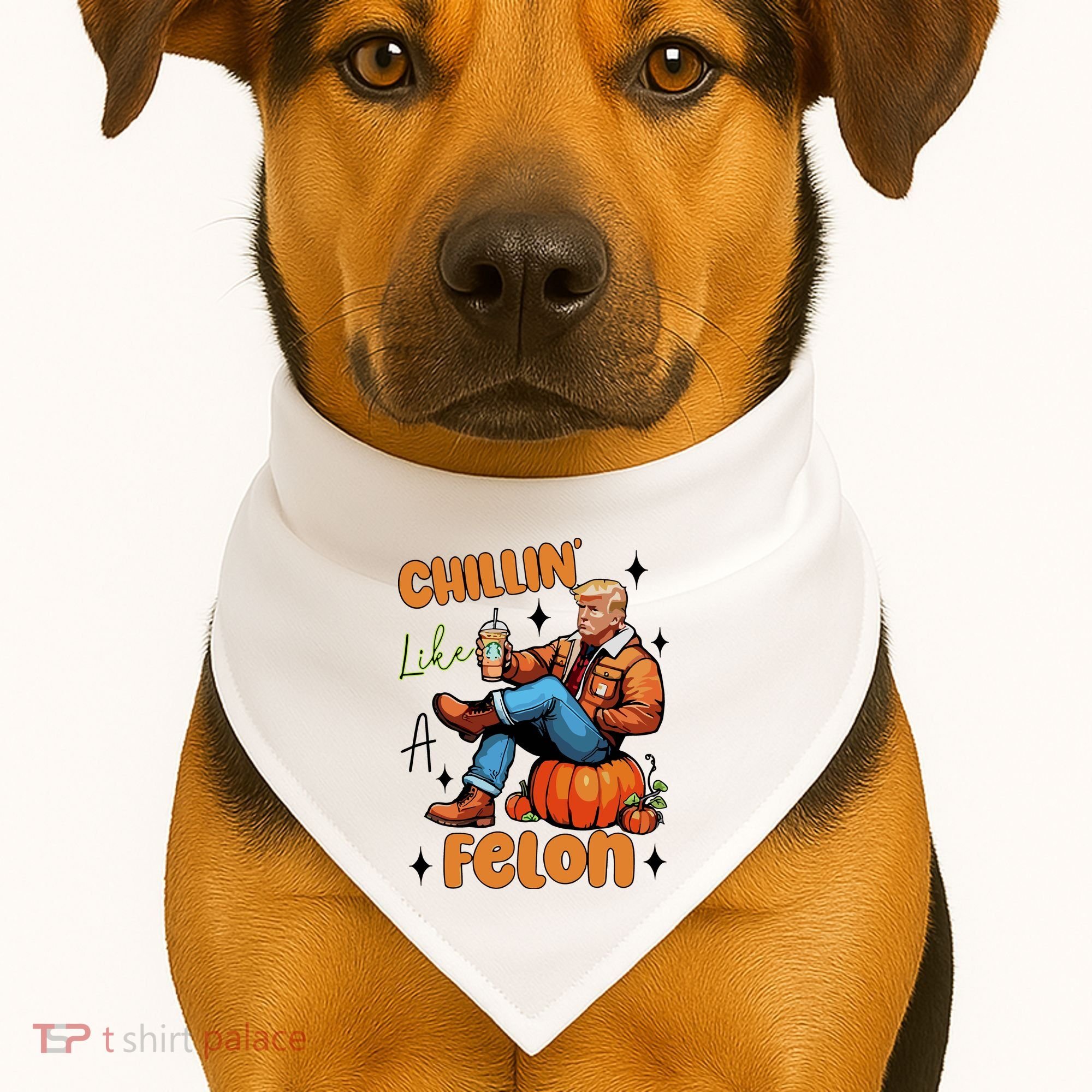 Trump Chillin Like A Felon Pumpkin Spice Halloween USA-Made Doggie Bandana