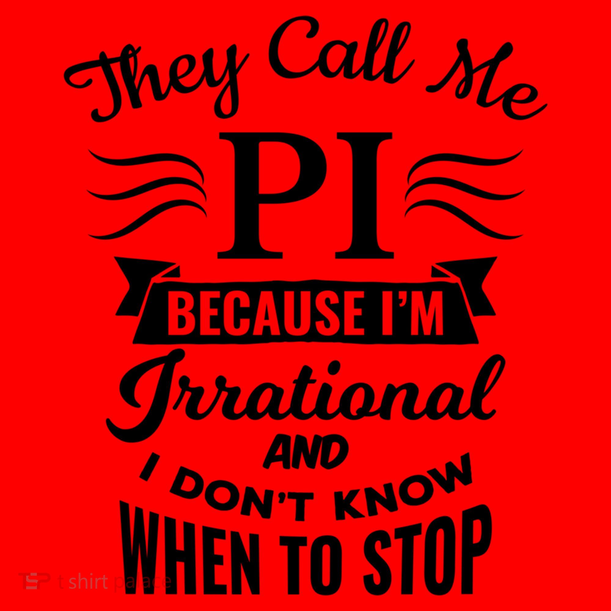 They Call Me Pi Symbol Gift Pi Day Cute Funny Gift Santa Hat