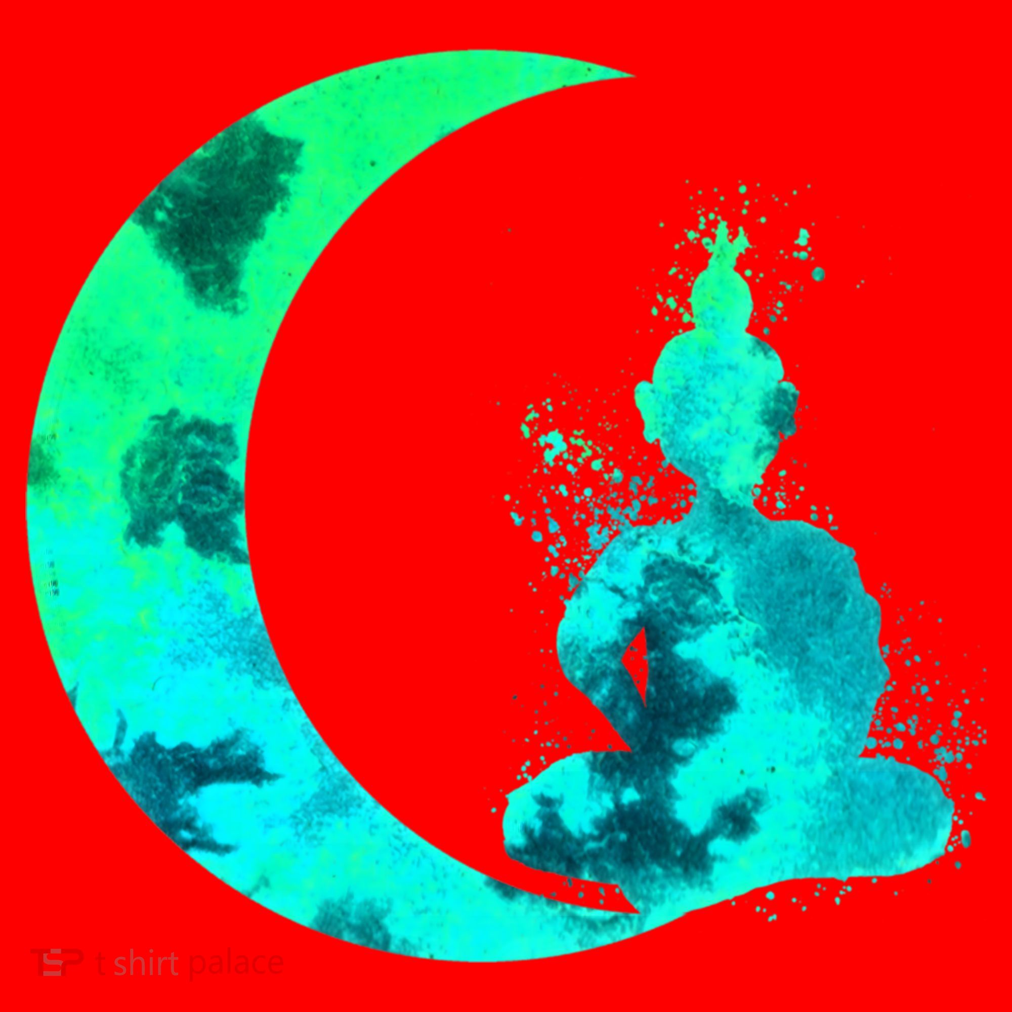 Turquoise Crescent Moon And Buddha Gift Santa Hat