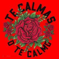 Te Calmas O Te Calmo Spanish Santa Hat thumb 1