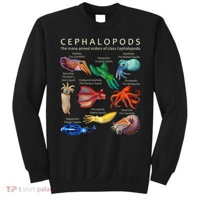 The Cephalopod Octopus Squid Cuttlefish And Nautilus Sweatshirt