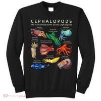 The Cephalopod Octopus Squid Cuttlefish And Nautilus Sweatshirt thumb 0