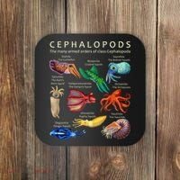 The Cephalopod Octopus Squid Cuttlefish And Nautilus Coaster thumb 0