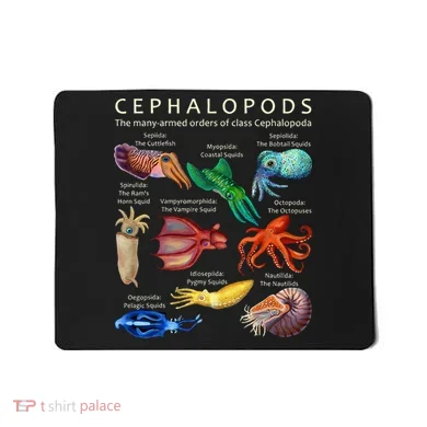 Mousepad