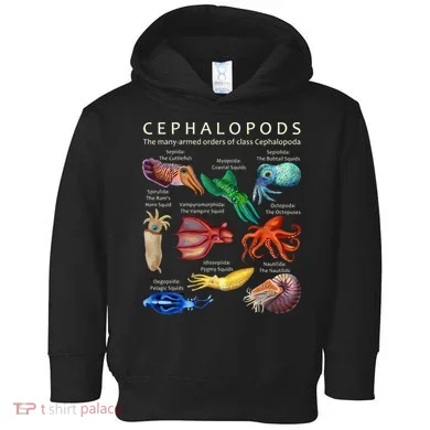 Toddler Hoodie
