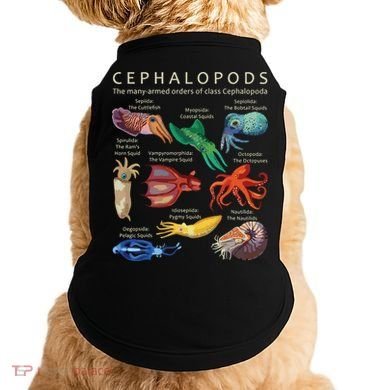 The Cephalopod Octopus Squid Cuttlefish And Nautilus Doggie Tank