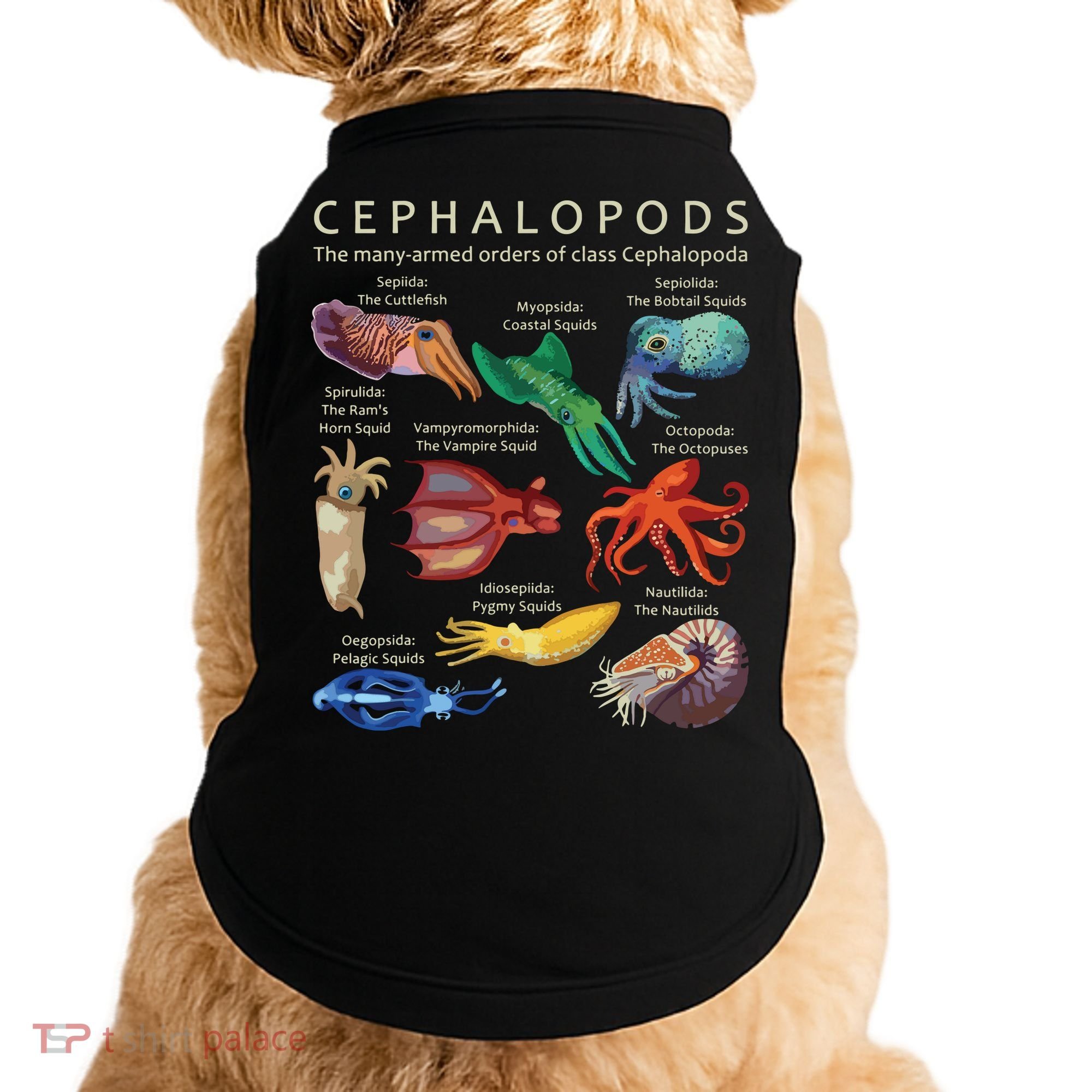 The Cephalopod Octopus Squid Cuttlefish And Nautilus Doggie Tank