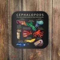 The Cephalopod Octopus Squid Cuttlefish And Nautilus Coaster thumb 0