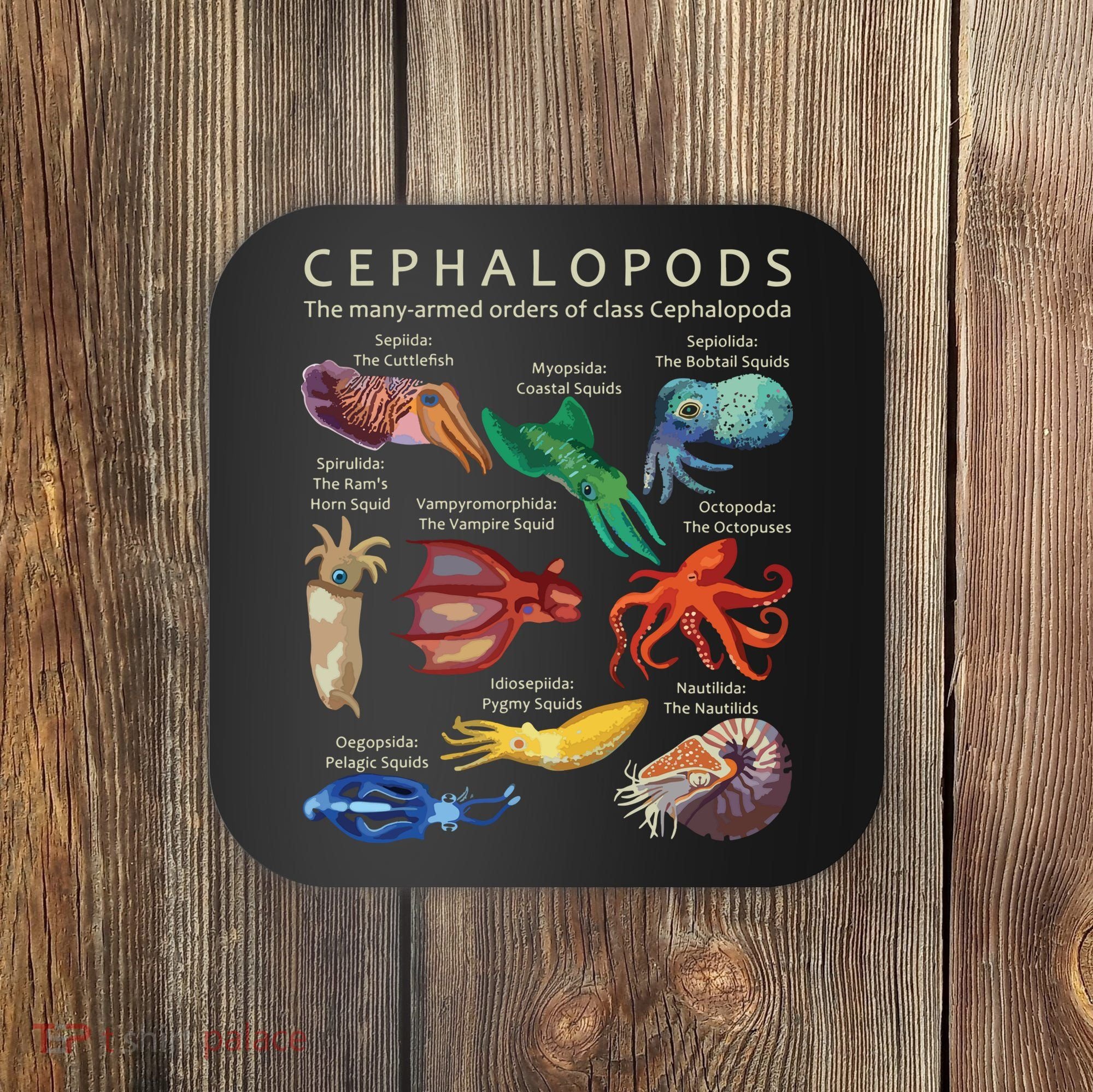 The Cephalopod Octopus Squid Cuttlefish And Nautilus Coaster