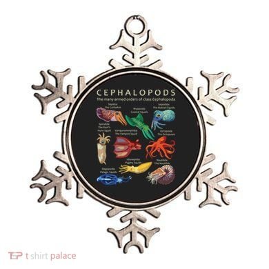 The Cephalopod Octopus Squid Cuttlefish And Nautilus Ornament